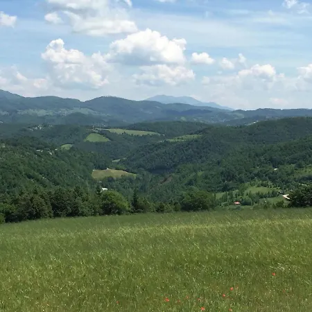 Large Farmhouse In With Swimming Pool Apecchio